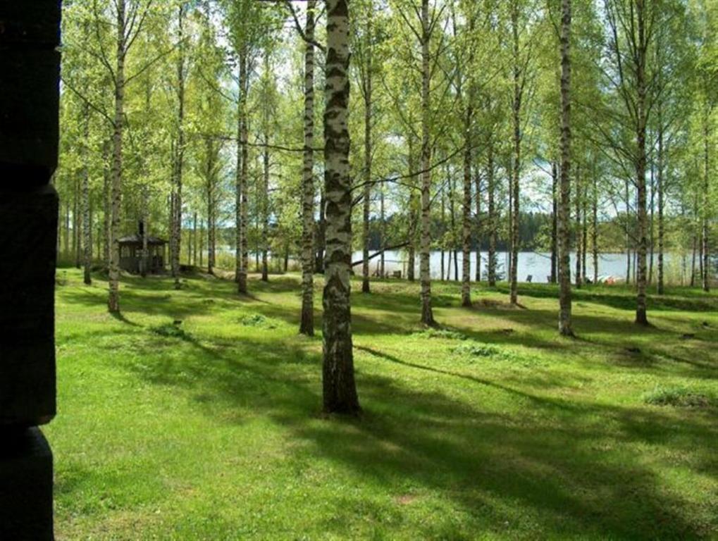 Aurantola Hotel Jaala Bilik gambar